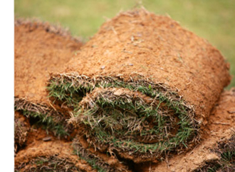 Turfing and Seeding