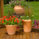 Decking
