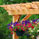 Pergolas