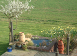 Pond