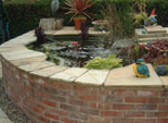 Raised Pond