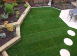 Decorative Lawn